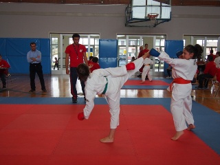 Image description